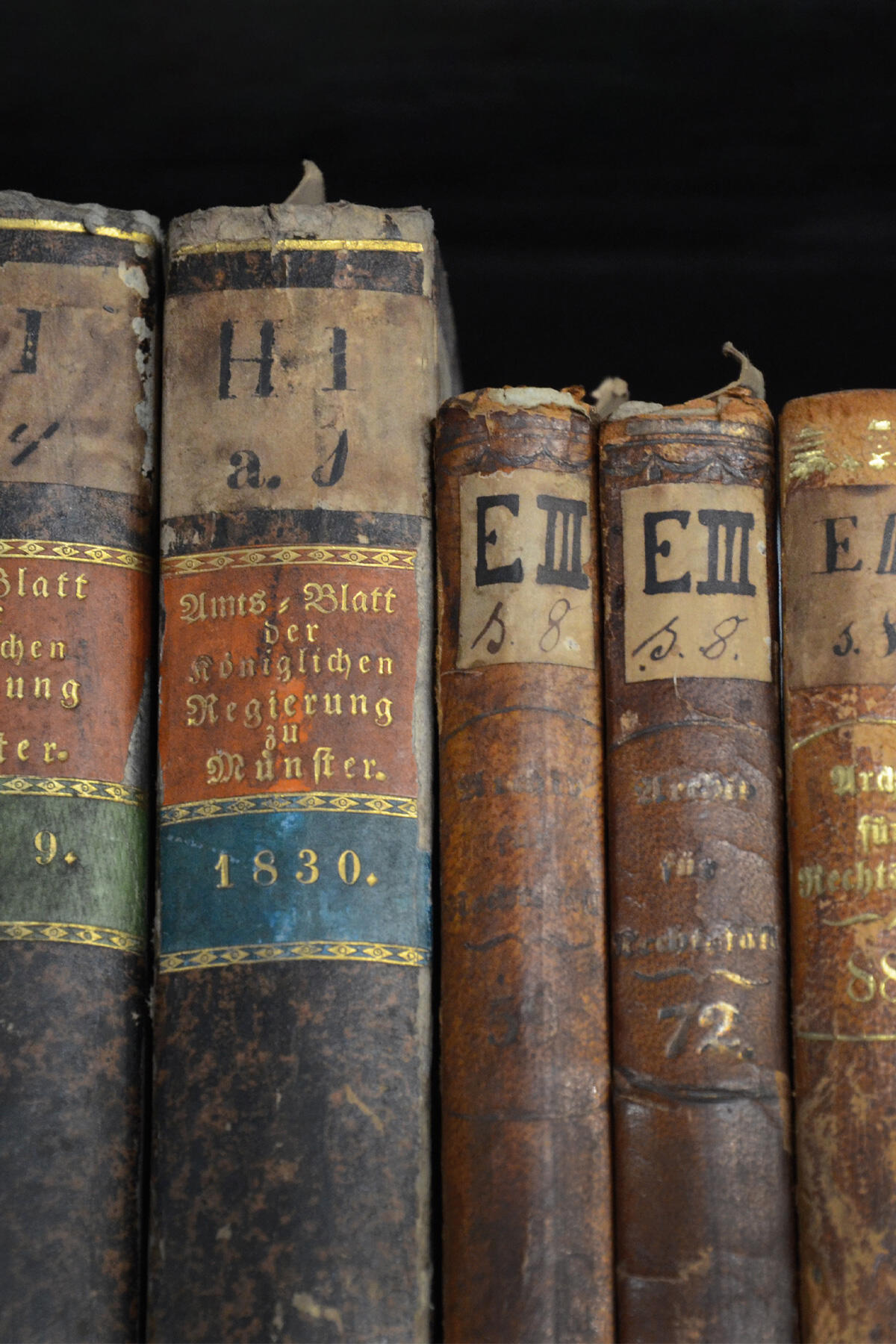 Bücher in der Bibliothek auf Burg Kakesbeck