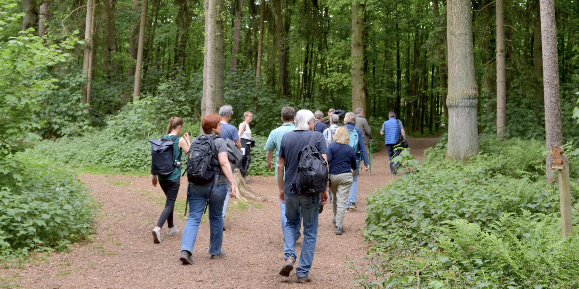 Spaziergänger in der Hohen Ward Münster