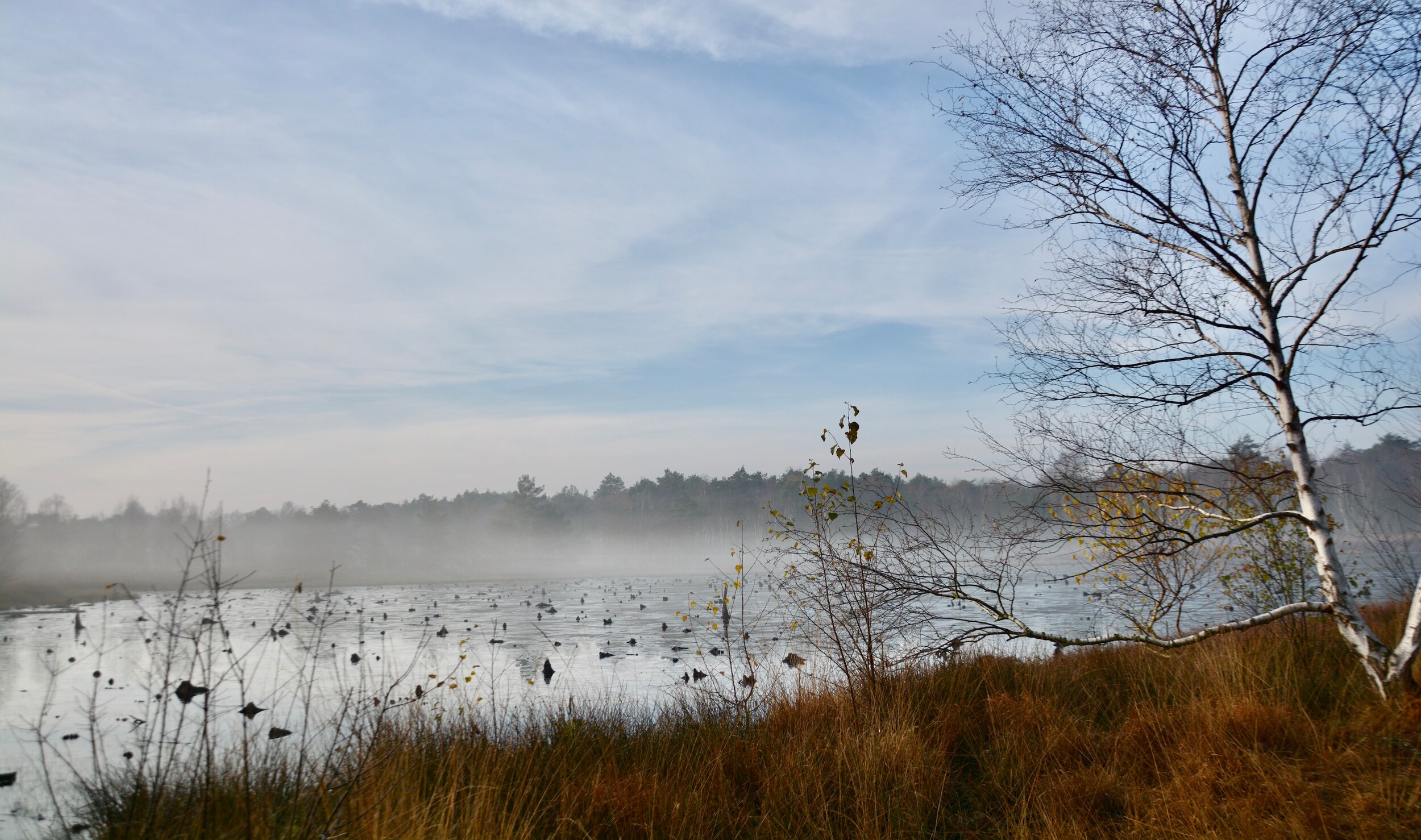 Venner Moor