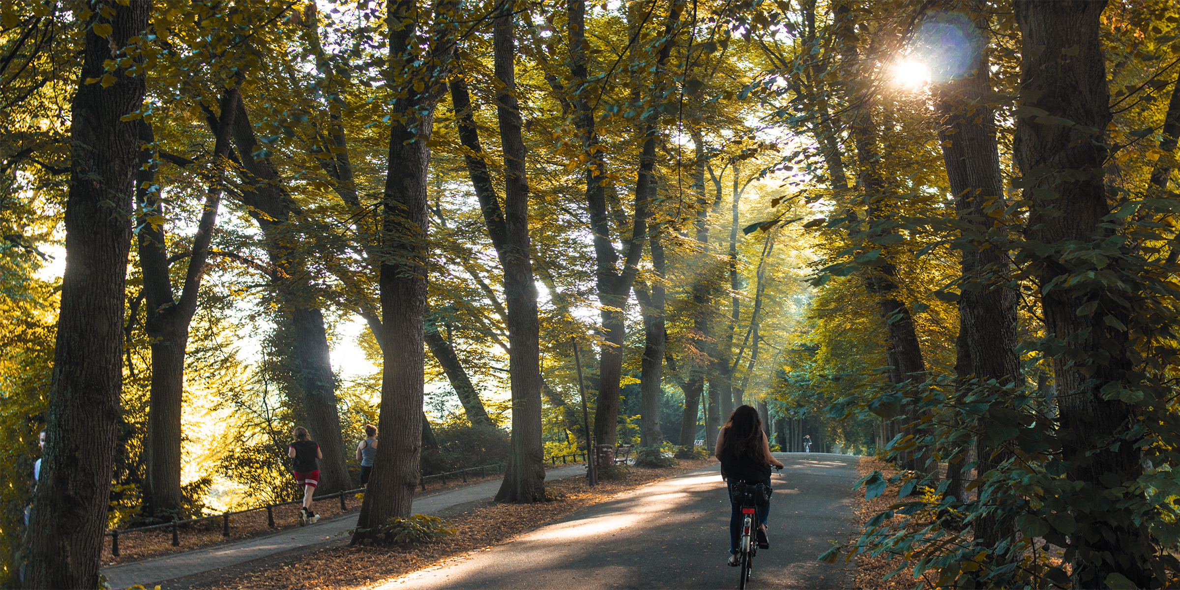 Grüner Tunnel Promenade