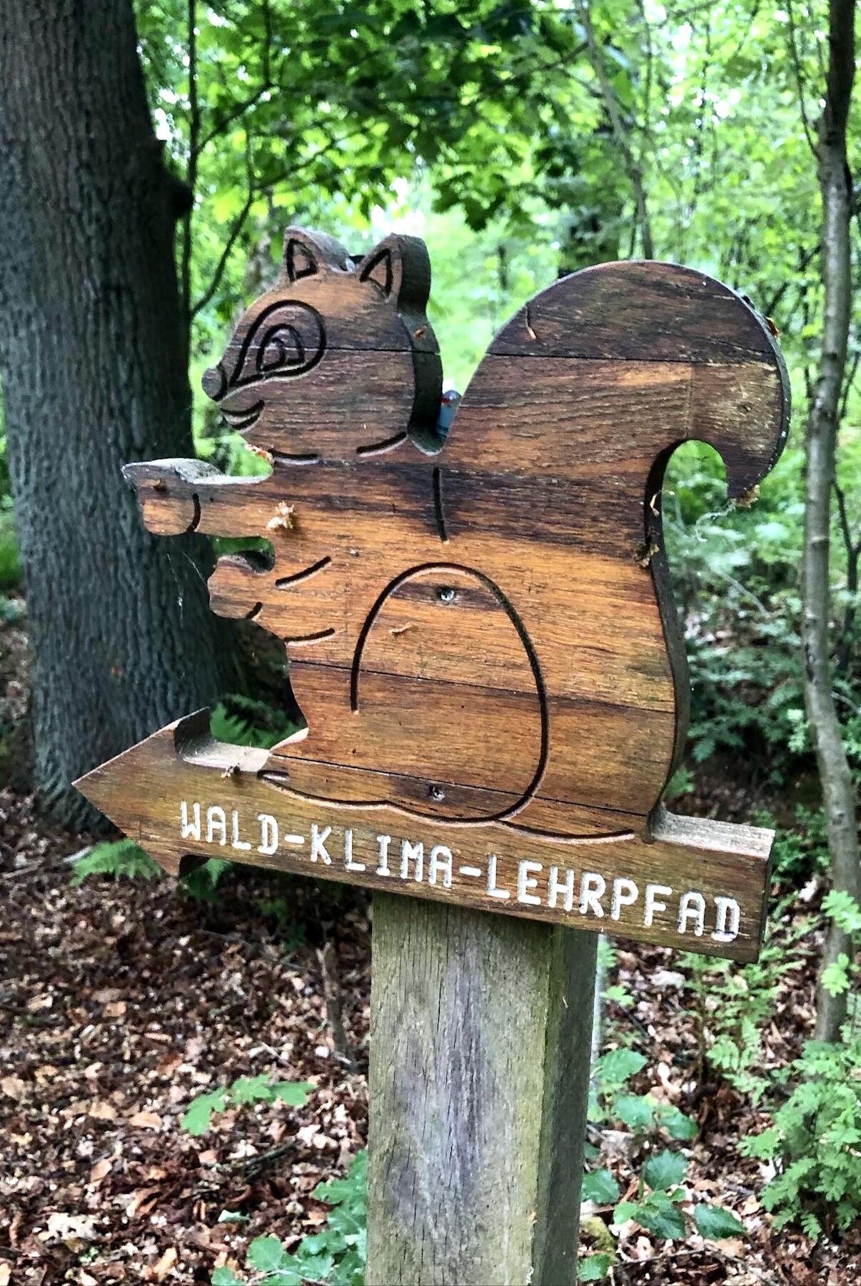 Schild Wald-Klima-Lehrpfad in der Hohen Ward