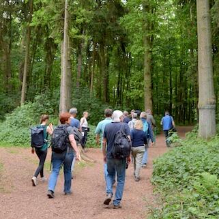 Spaziergänger in der Hohen Ward Münster