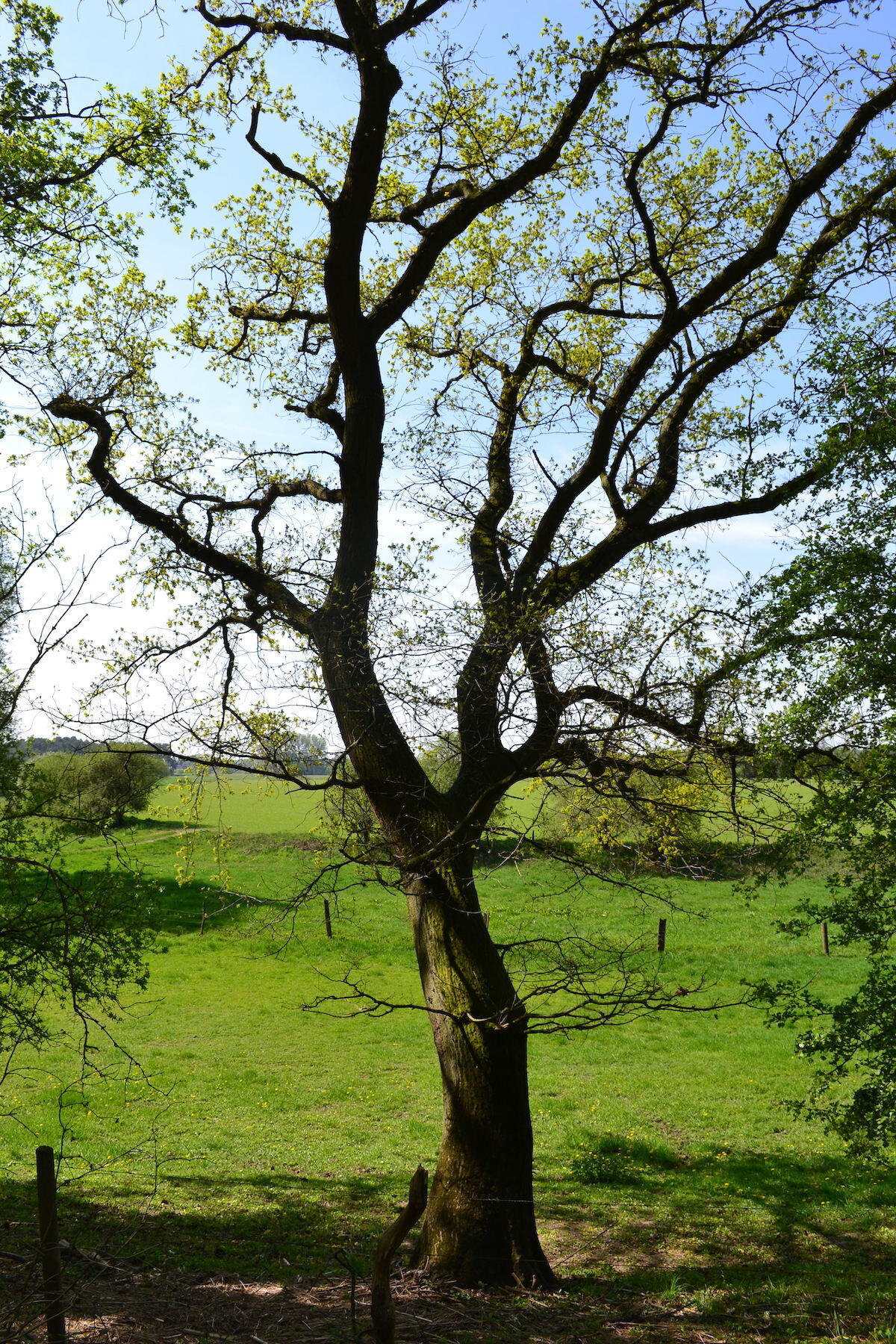 Abwechslungsreicher Pfad durch die Wentruper Berge