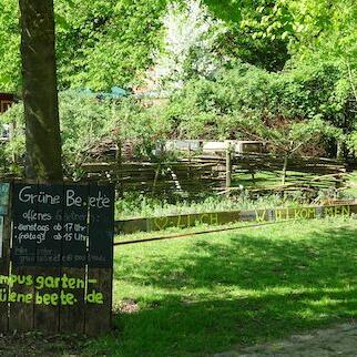 Campusgarten GrüneBeete