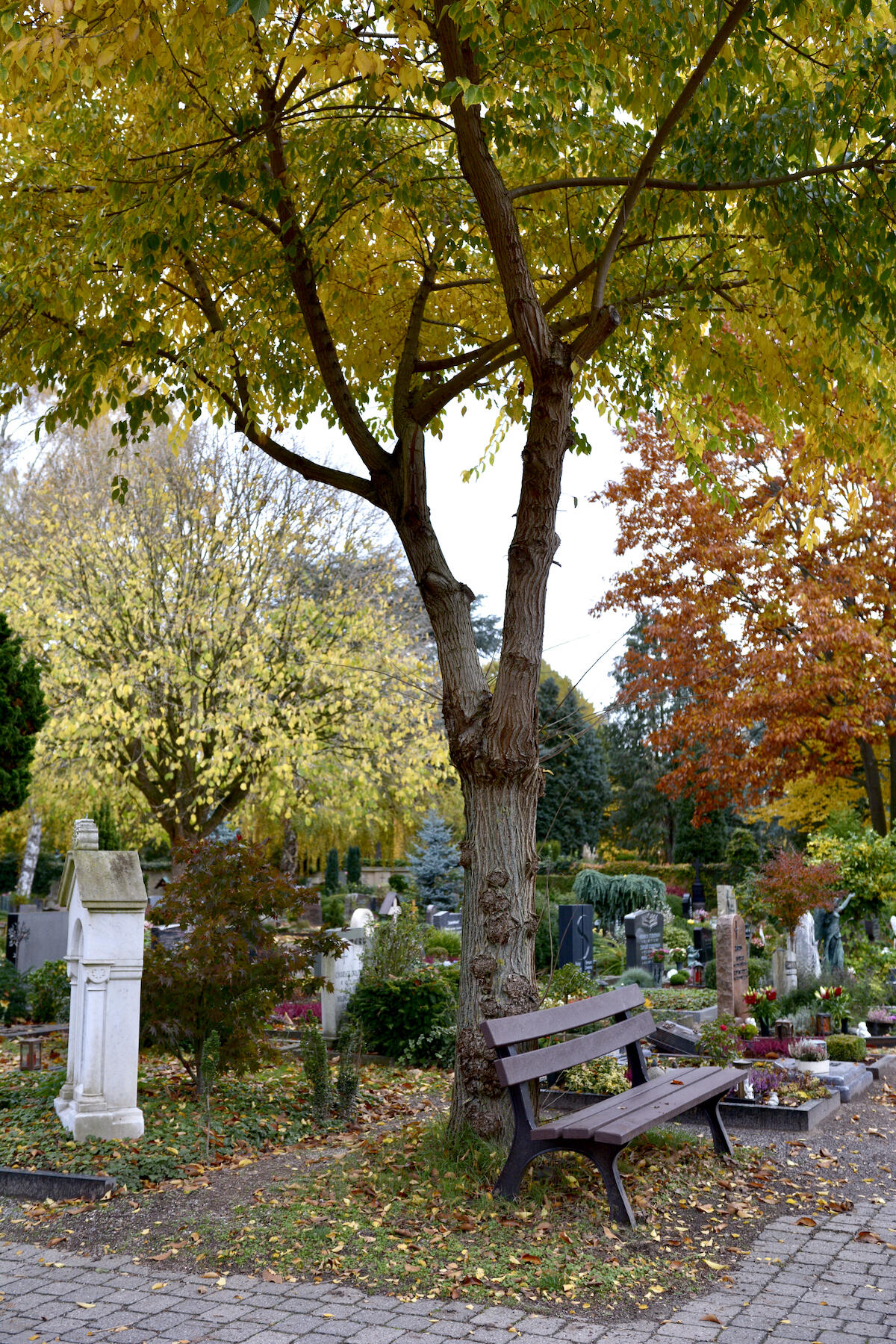 Sitzplatz am Friedhof