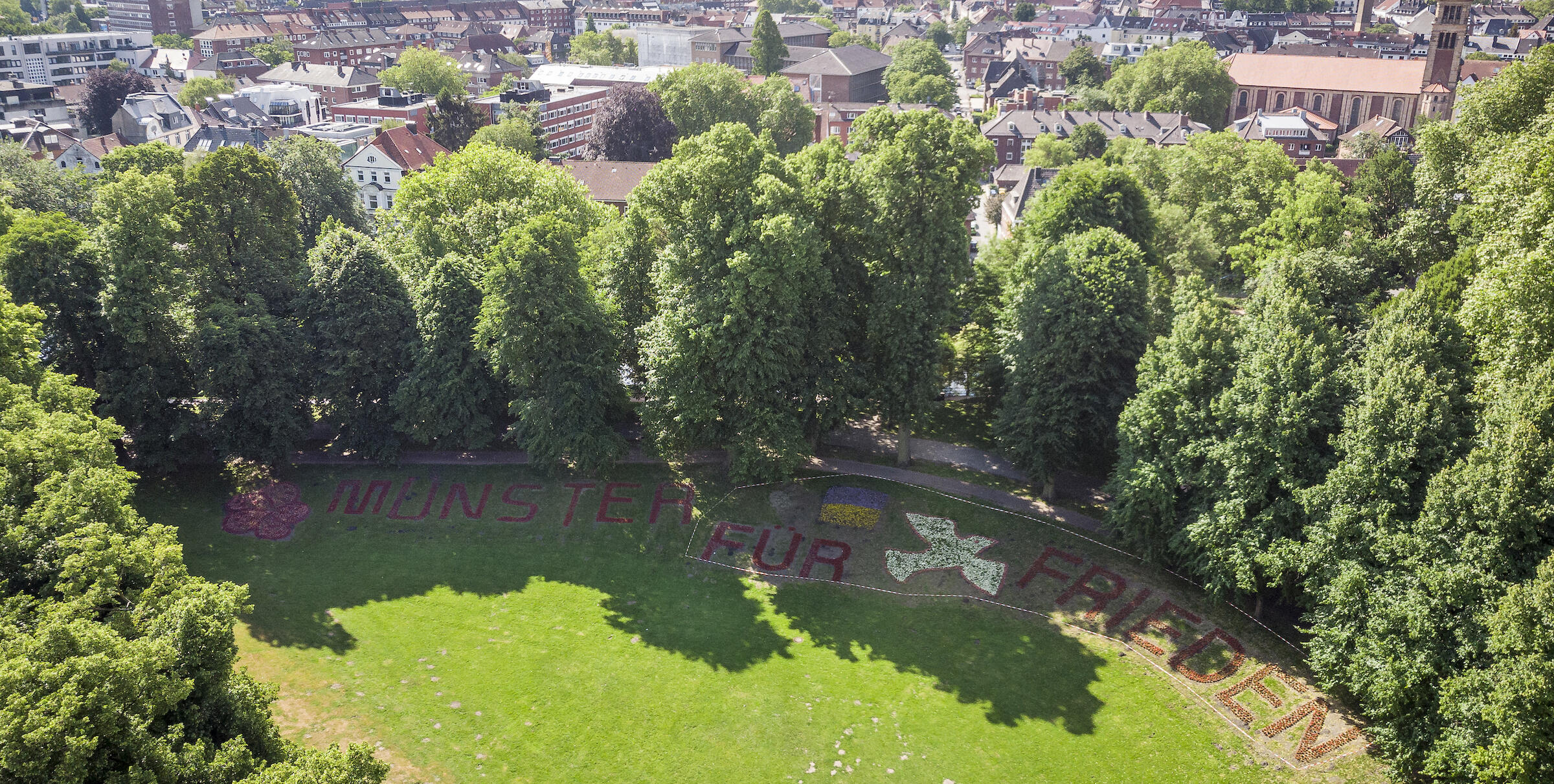 Neue Botschaft aus Blumen auf der Promenade: Münster für Frieden