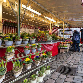 Blumenstand auf dem Wochenmarkt Münster