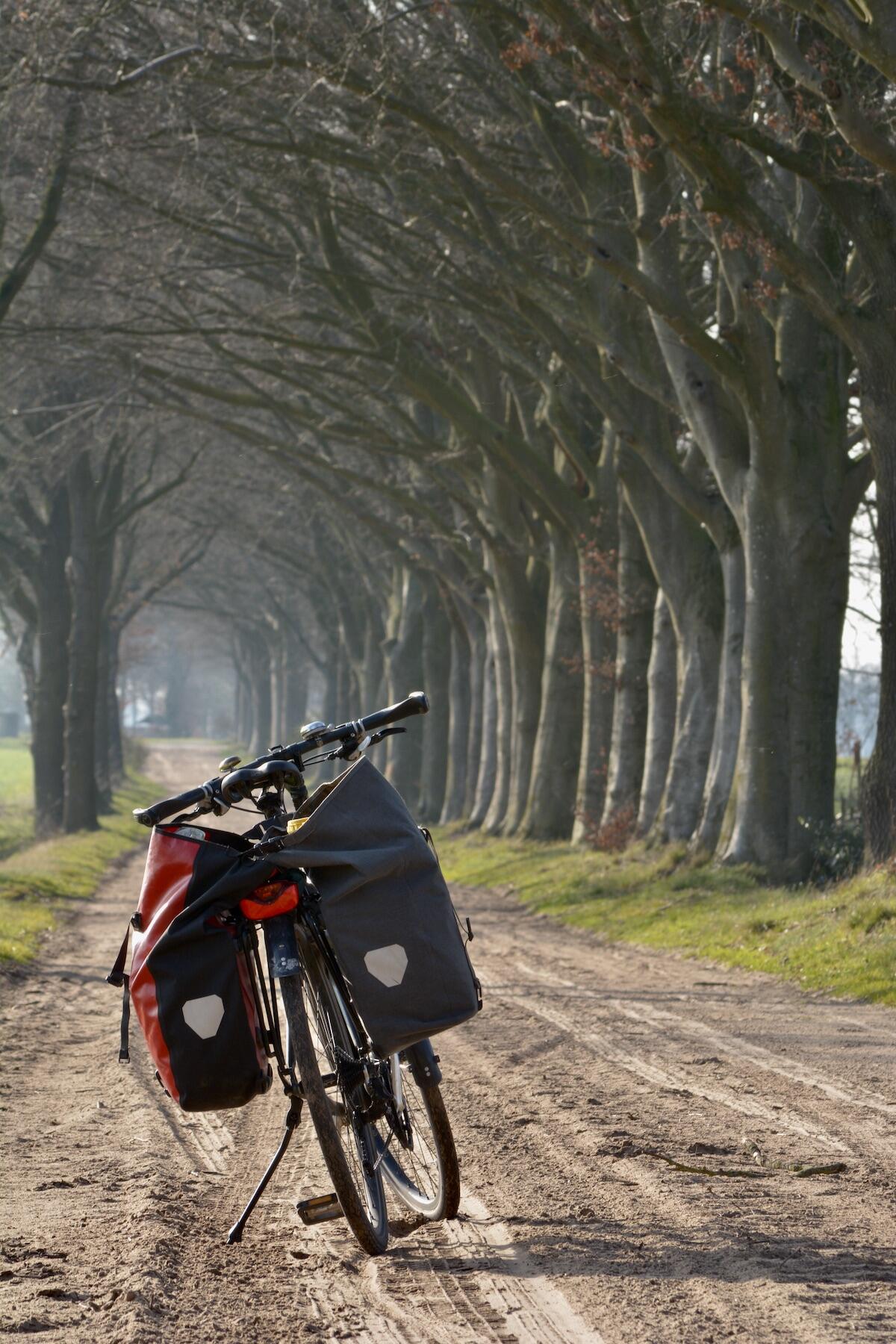 Fahrrad mit Radtaschen