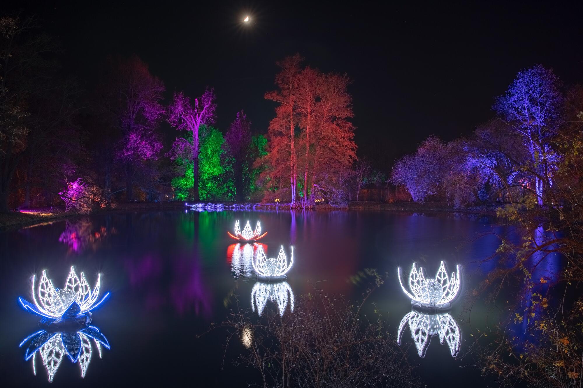 Christmas Garden