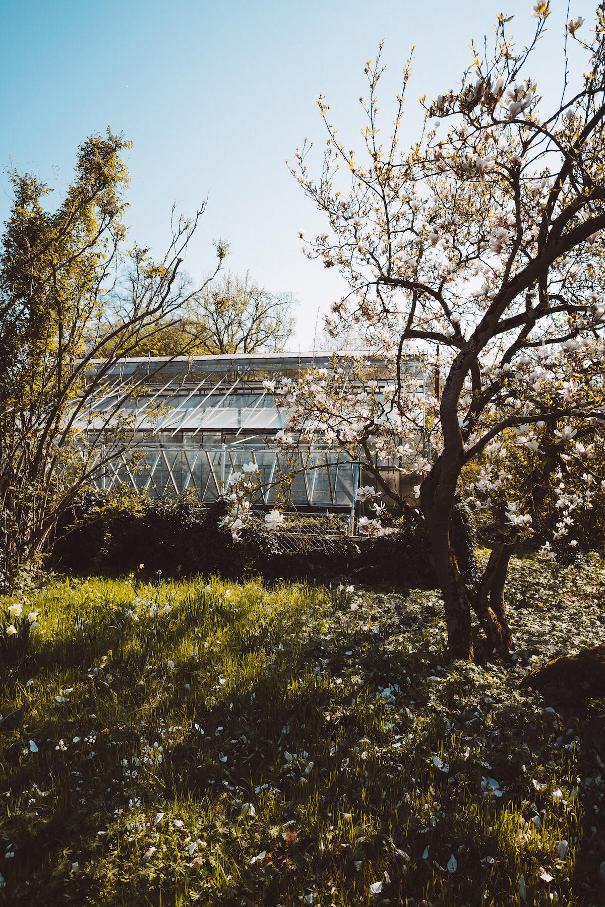 Verstecktes Gewächshaus im Botanischen Garten