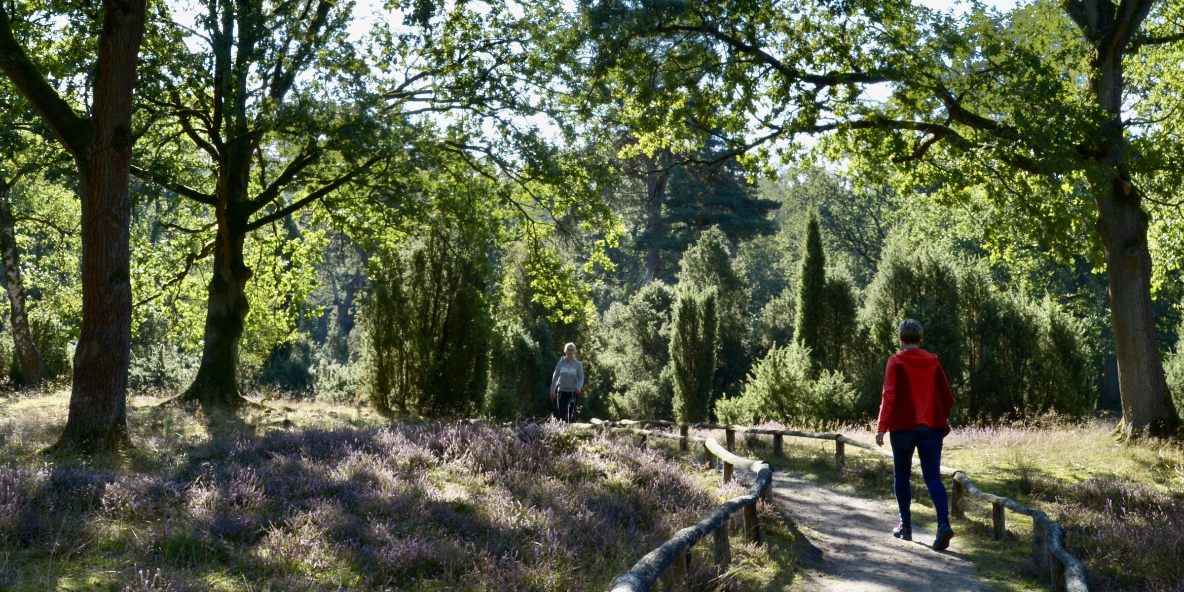 Wandern in den Bockholter Bergen