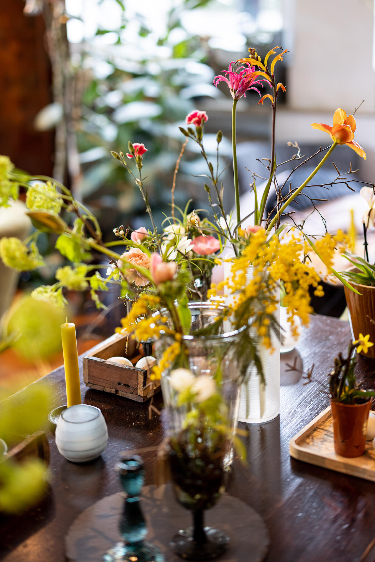 Blumen im Rotkehlchen Münster