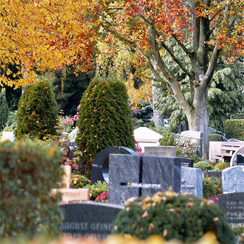Der Zentralfriedhof Münster