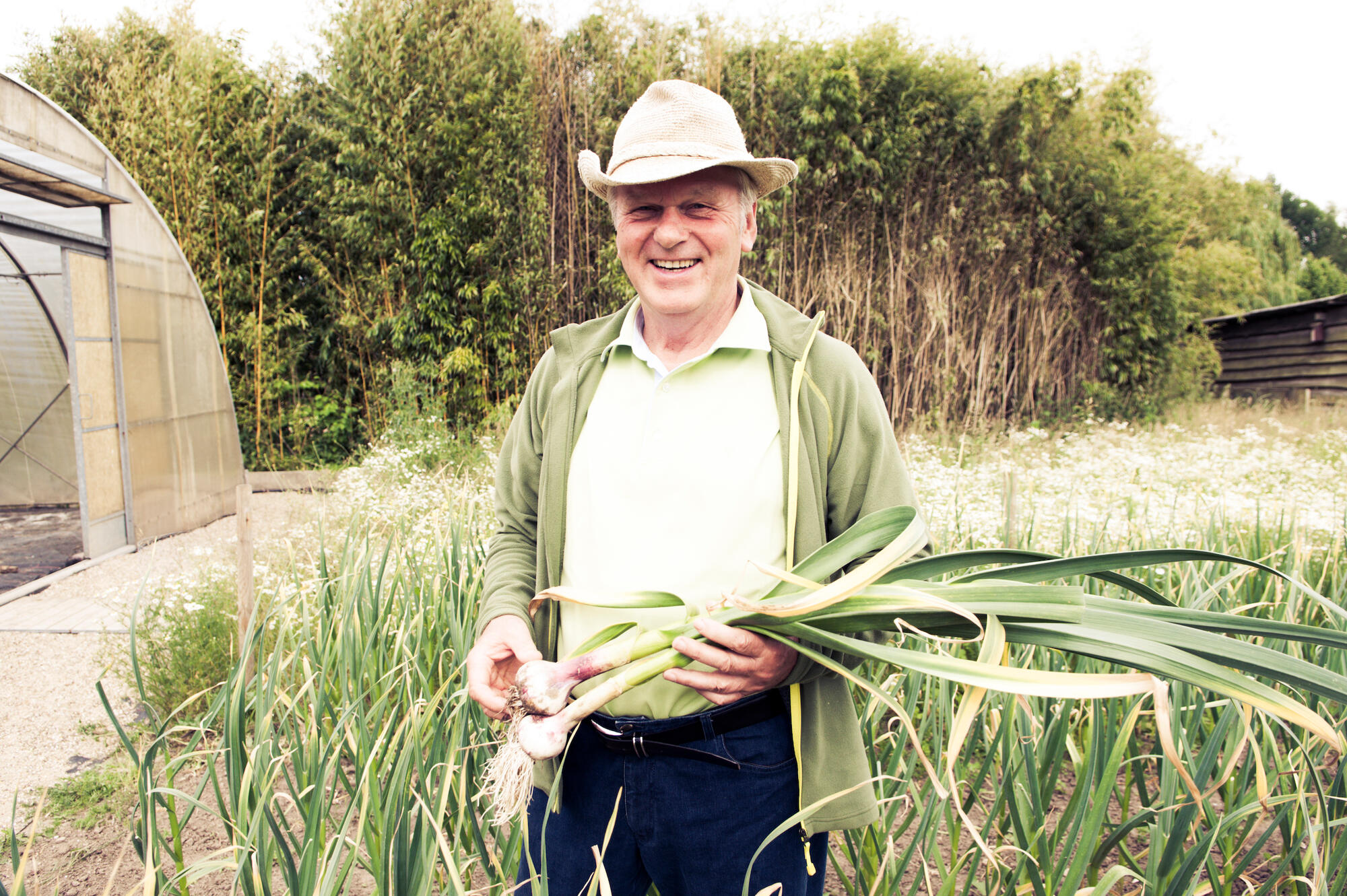 Dr. Erwin Weßling bei der Knoblauchernte