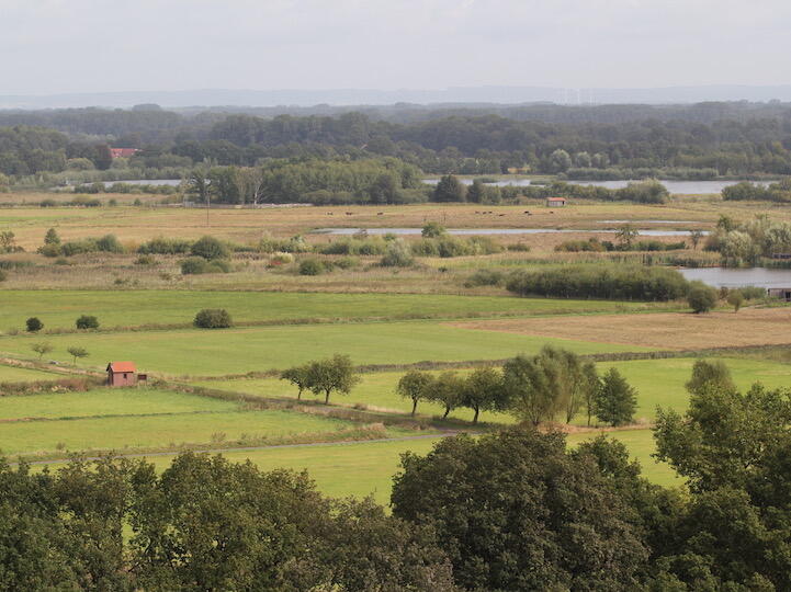 Landschaft im Wandel