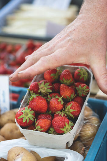 Obst- und Spargelhof Plagge