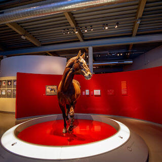 Pferdestatue im Westfälischen Pferdemuseum Münster