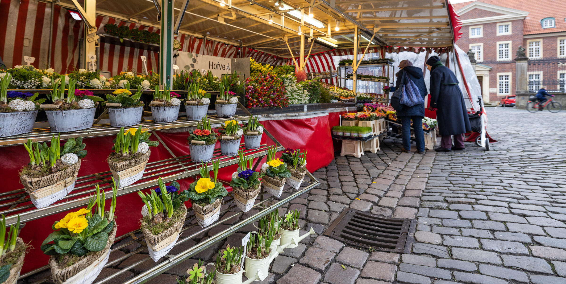 Blumenstand auf dem Wochenmarkt Münster