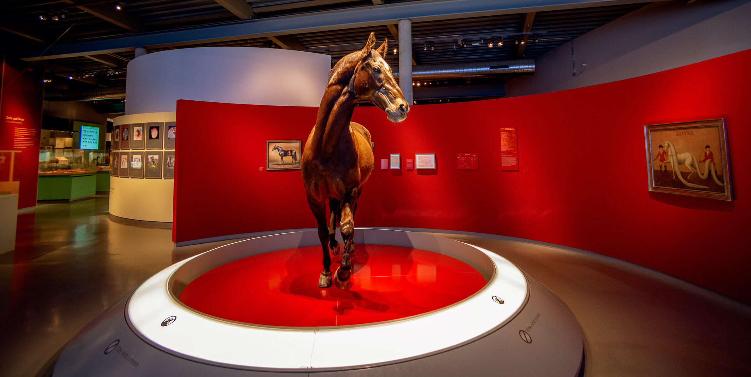 Pferdestatue im Westfälischen Pferdemuseum Münster