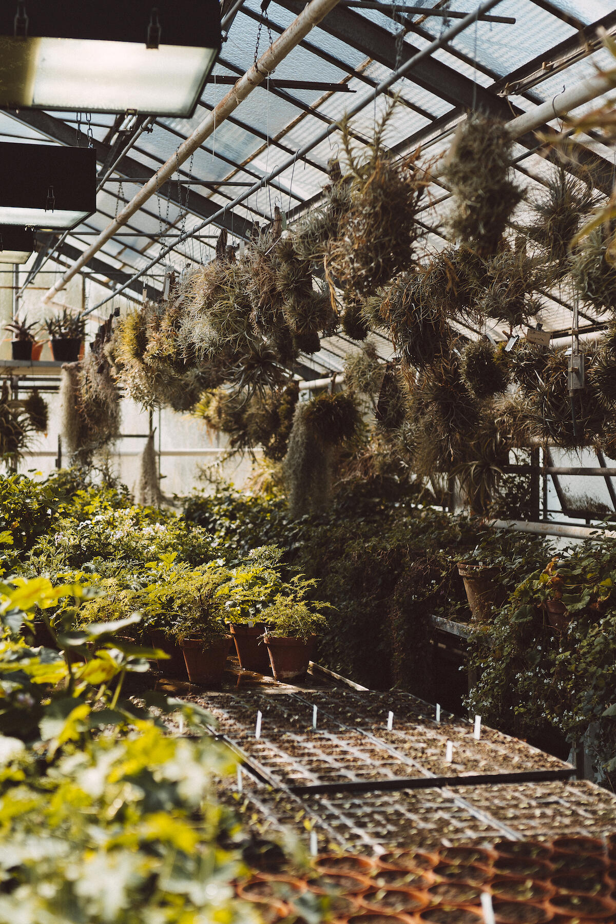 "Pflanzen-Kindergarten" und Labor des Botanischen Gartens