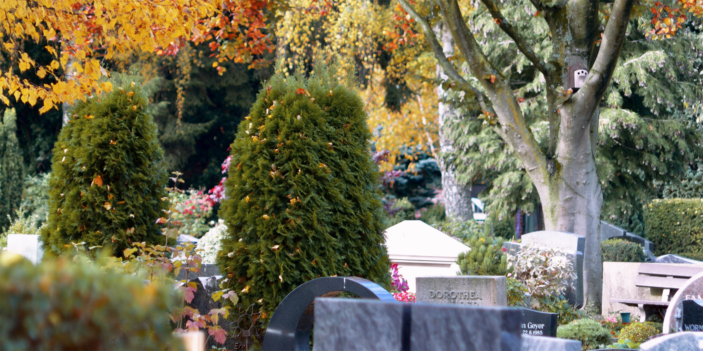 Der Zentralfriedhof Münster