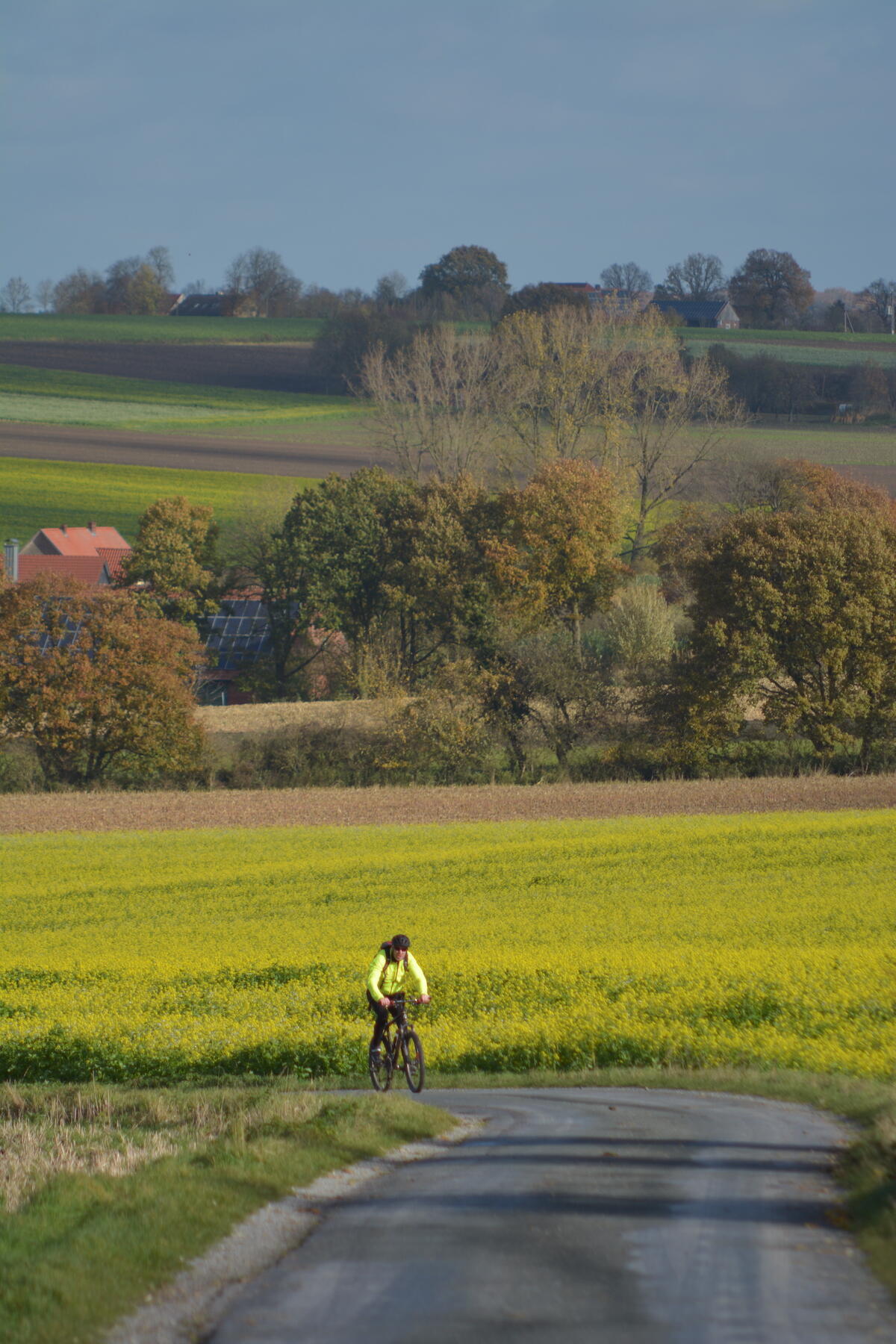 Radfahrerin zwischen Nottuln und Darup