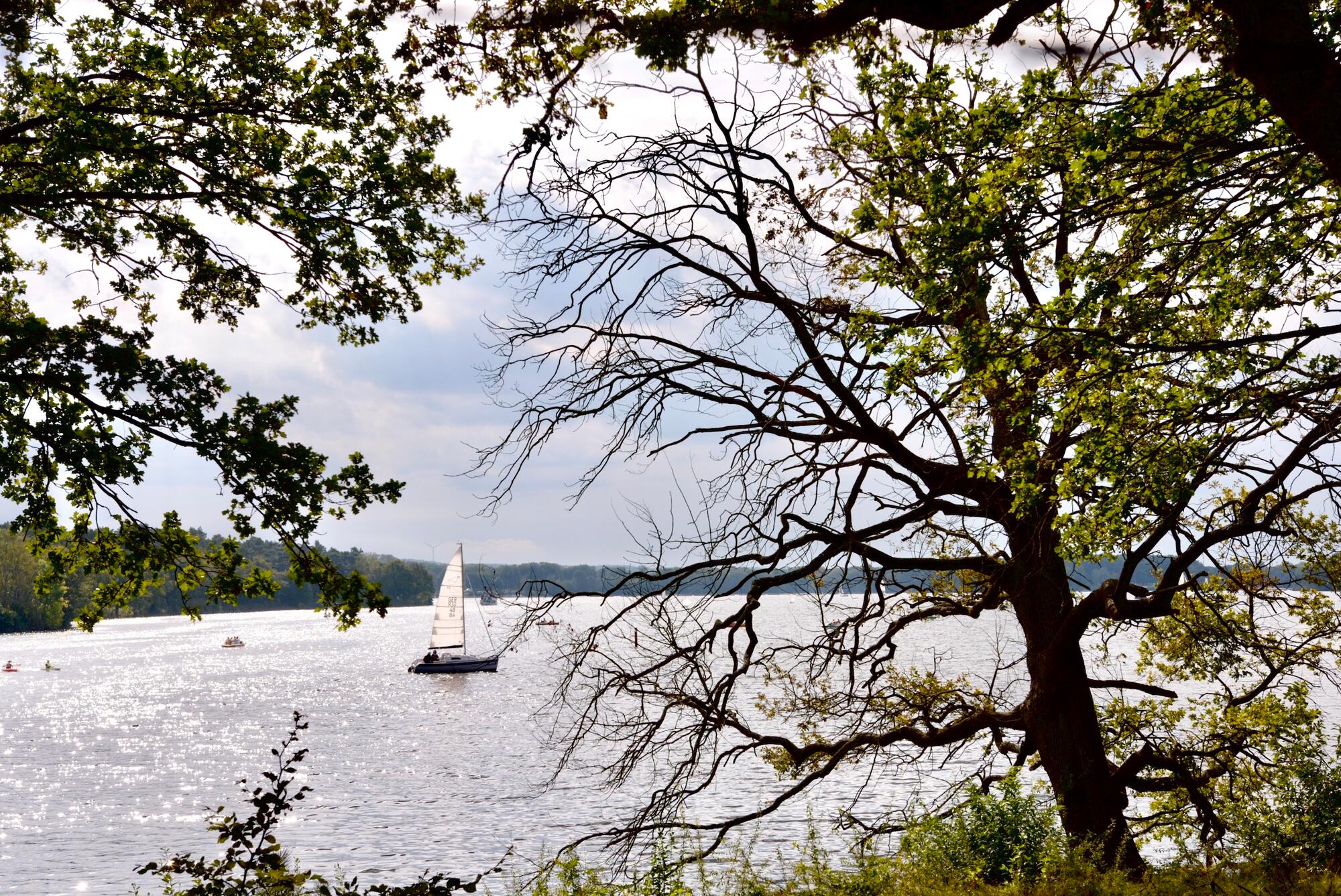 Segelboot auf dem Halterner See