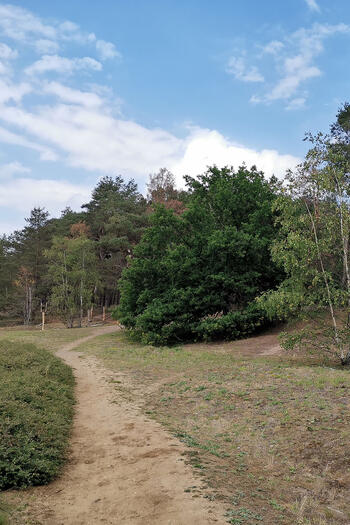 Winterwanderung in Borken