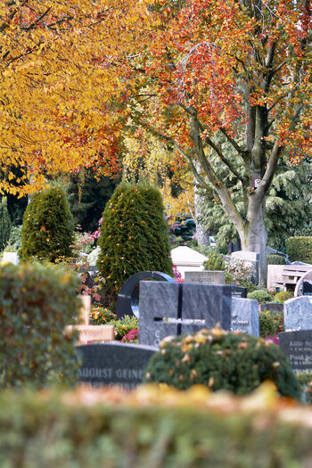 Zentralfriedhof