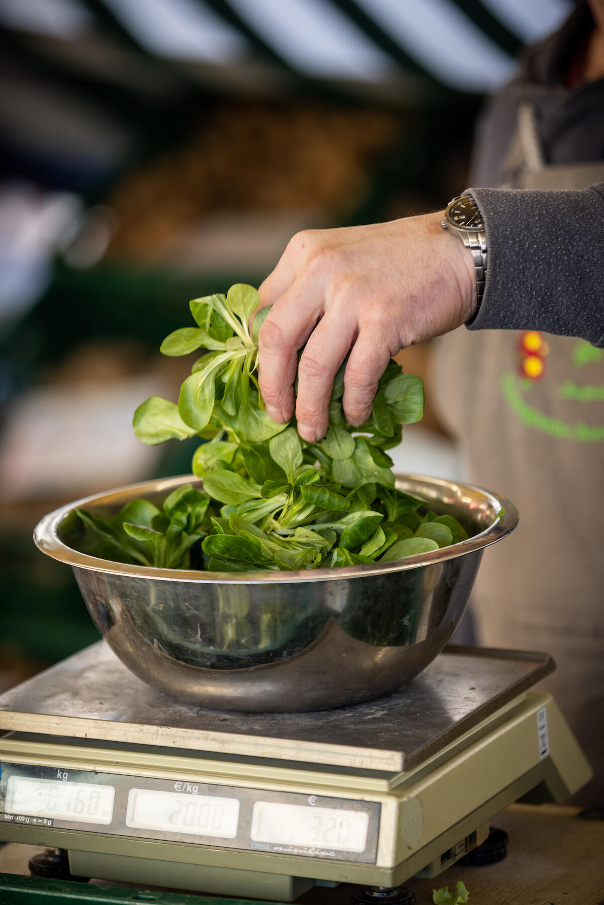 Feldsalat am Marktstand