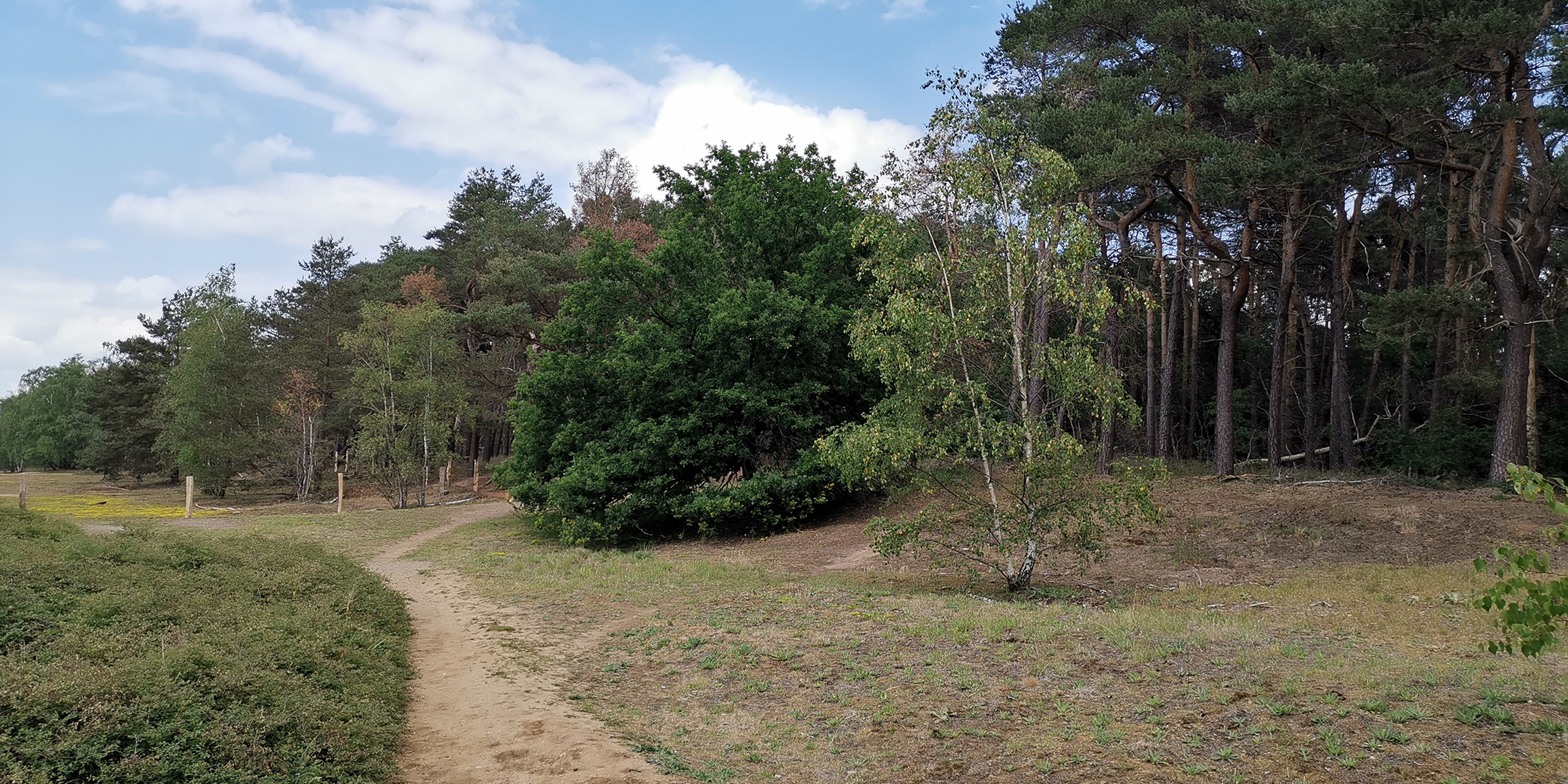 Naturpark Hohe Mark