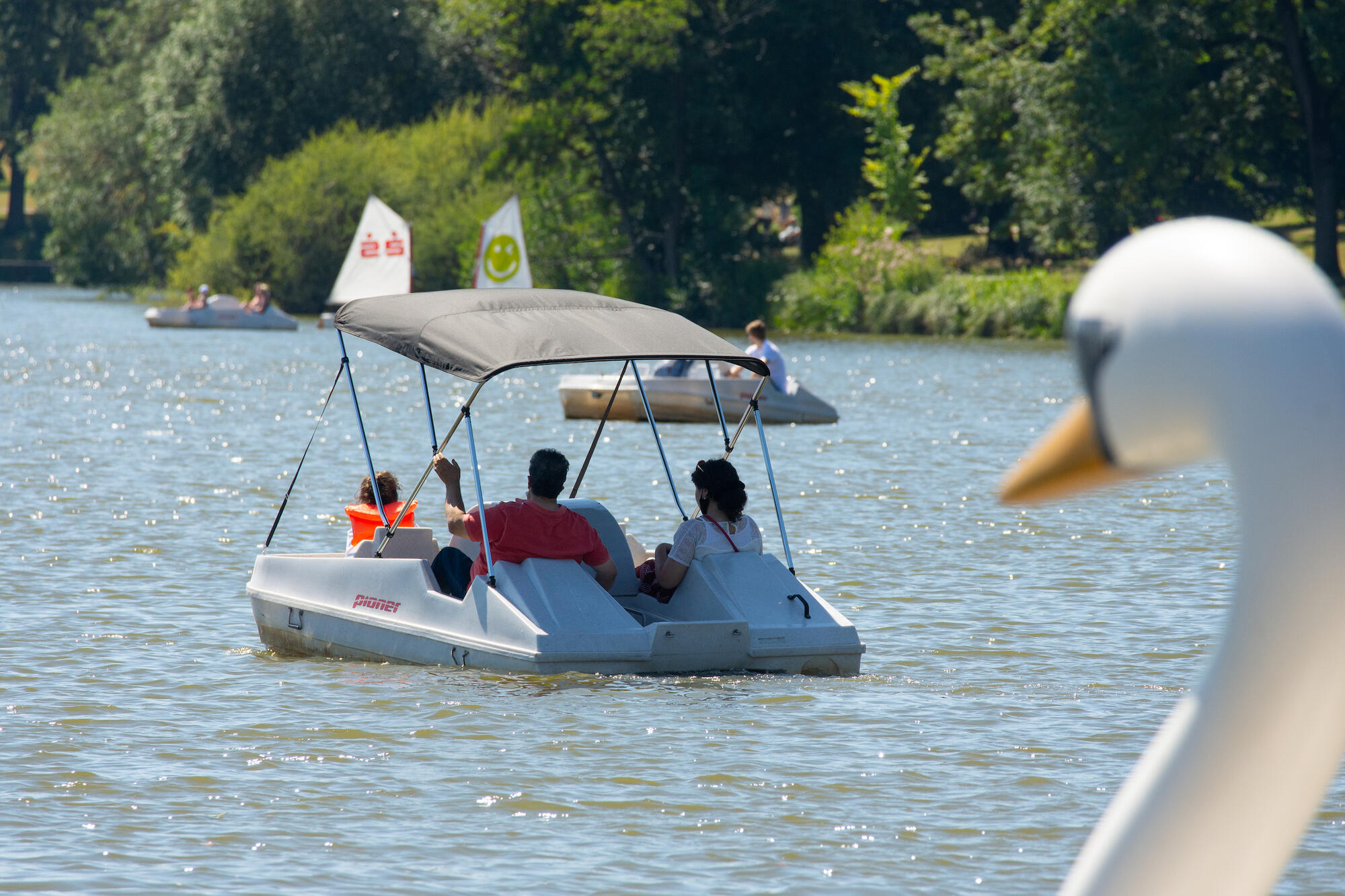 Tretbootfahrer auf dem Aasee. Im Vordergrund das Schwanen-Tretboot