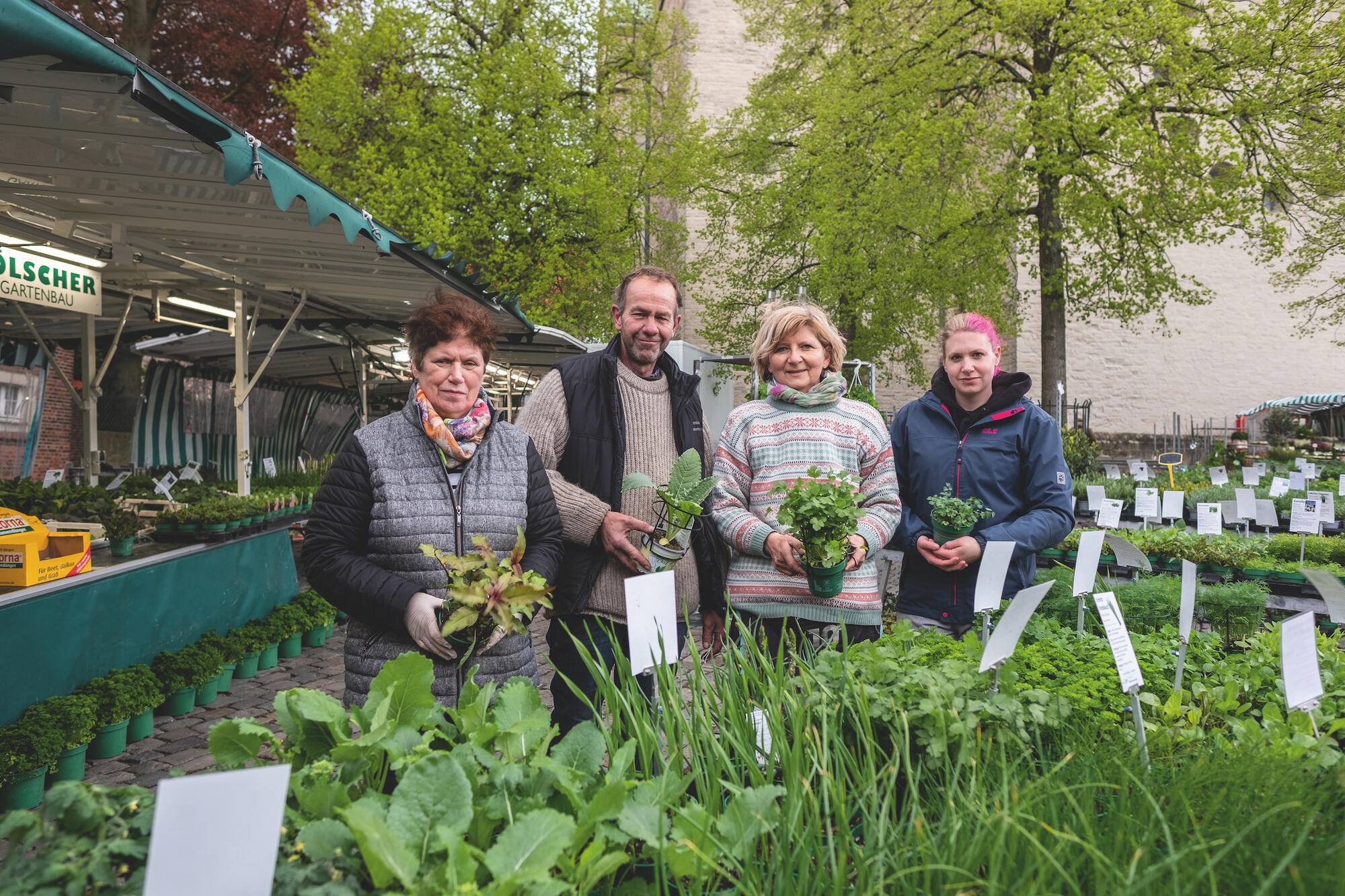 Das Hölscher Team