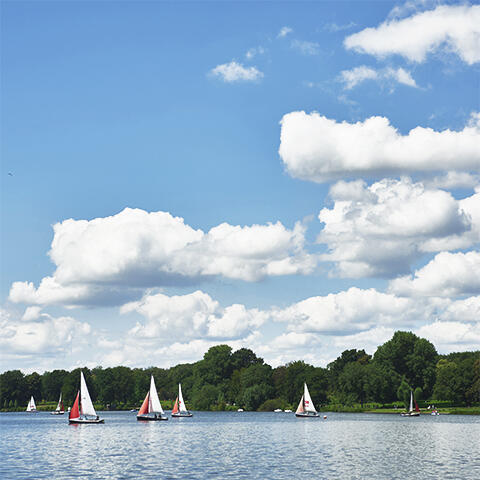 Segelboote auf dem Aasee