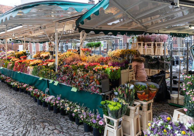 Blumenstand auf Münsters Wochenmarkt Wermelt